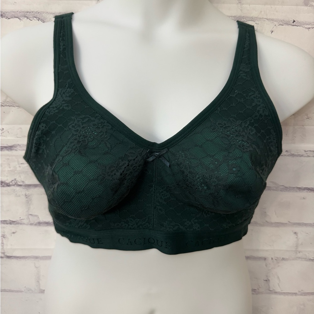 Cacique Bra Size 40D‎ Unlined Full Coverage No Wire Green Lace Stained